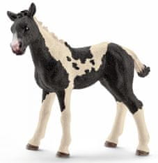 Schleich 13803 Zvieratko - žriebä Pinto