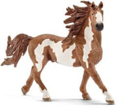 Schleich 13794 Zvieratko - žrebec Pinto