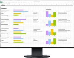 Eizo monitor FlexScan EV2456, črn, 61 cm (24,1")