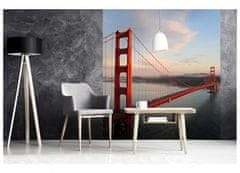 Dimex fototapeta MS-3-0015 Golden Gate 225 x 250 cm