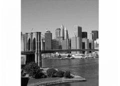 Dimex fototapeta MS-3-0010 Manhattan 225 x 250 cm