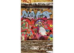 Dimex fototapeta MS-2-0321 Grafity z ulice 150 x 250 cm