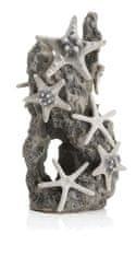 Oase Akváriová dekorácia BiOrb Sea star rock ornament