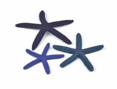 Oase Akváriová dekorácia biOrb Starfish set 3 blue
