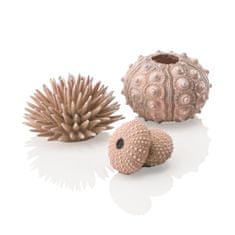 Oase Akváriová dekorácia biOrb sea urchins set natural