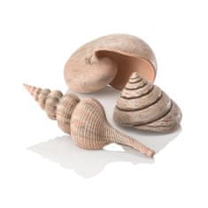 Oase Akváriová dekorácia biOrb sea shells natural