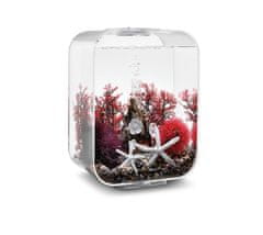 Oase Akváriová dekorácia biOrb Decor Set 15L Red Forest