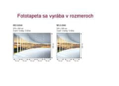 Dimex fototapeta MS-5-0040 Zaoblená hala 375 x 250 cm