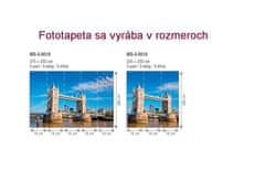 Dimex fototapeta MS-5-0019 Tower Bridge 375 x 250 cm