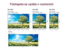 Dimex fototapeta MS-2-0096 Kvitnúci strom 150 x 250 cm