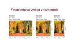 Dimex fototapeta MS-2-0099 Jesenný les 150 x 250 cm