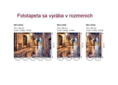 Dimex fototapeta MS-3-0048 Staroveká ulička 225 x 250 cm