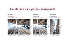 Dimex fototapeta MS-3-0011 Broadway mrakodrapy 225 x 250 cm