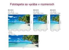 Dimex fototapeta MS-5-0215 Rajská pláž 375 x 250 cm