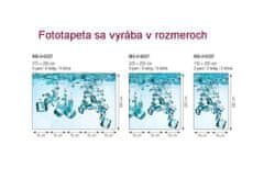 Dimex fototapeta MS-5-0237 Kocky ľadu 375 x 250 cm