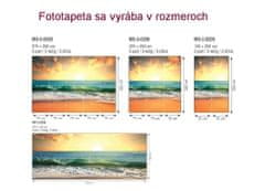 Dimex fototapeta MS-5-0209 Západ slnka 375 x 250 cm