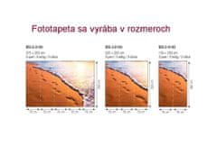 Dimex fototapeta MS-5-0193 Stopy na pláži 375 x 250 cm