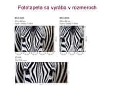 Dimex Fototapeta MS-3-0234 Zebra 225 x 250 cm