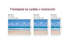 Dimex fototapeta MS-5-0210 Prázdna pláž 375 x 250 cm