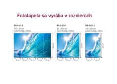Dimex fototapeta MS-5-0214 Morská vlna 375 x 250 cm
