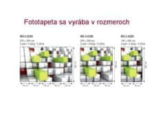 Dimex fototapeta MS-5-0286 3D kocky 375 x 250 cm