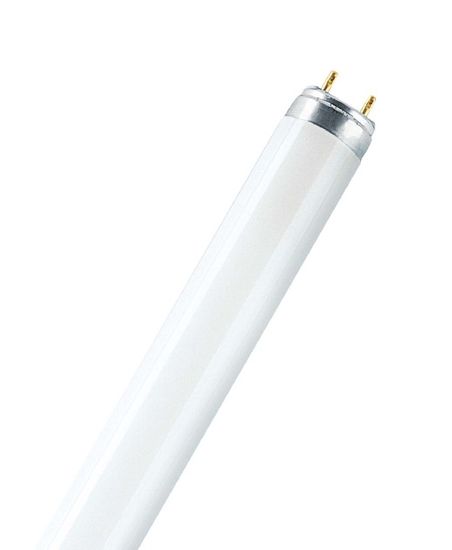 Osram OSRAM lumilux L 36W / 954 G13