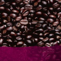 Starbucks Dark Espreso Roast 12 kapsúl 66 g 3 balenia