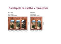 Dimex fototapeta MS-5-0049 Pohľad z okna 375 x 250 cm