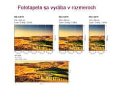 Dimex fototapeta MS-2-0070 Toskánsko 150 x 250 cm