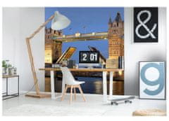 Dimex fototapeta MS-3-0021 Tower Bridge v noci 225 x 250 cm