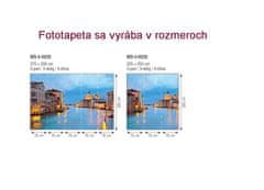 Dimex fototapeta MS-5-0029 Grand Canal 375 x 250 cm