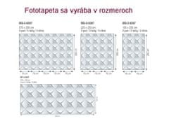 Dimex fototapeta MS-3-0297 3D obklad 225 x 250 cm