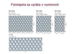 Dimex fototapeta MP-2-0298 panoráma - 3D kocky 375 x 150 cm