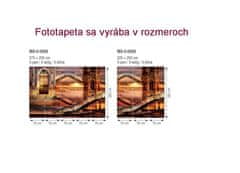 Dimex fototapeta MS-3-0265 Éterická veža 225 x 250 cm