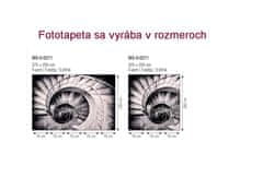 Dimex fototapeta MS-3-0271 Špirálové schodisko 225 x 250 cm