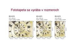 Dimex fototapeta MS-5-0272 Špirálové hodiny 375 x 250 cm