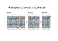 Dimex fototapeta MS-5-0276 Vintage mozaika 375 x 250 cm