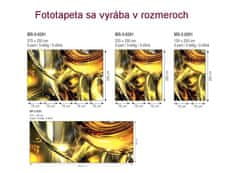 Dimex fototapeta MP-2-0291 panoráma - Zlatý abstrakt 375 x 150 cm