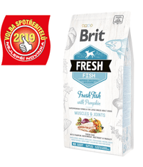 Brit Fresh Fish with Pumpkin Adult Large 2,5 kg