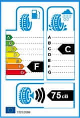 Continental 295/35R19 100V CONTINENTAL CONTIWINTERCONTACT TS 830 P