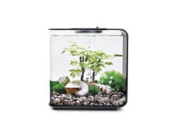 Oase biOrb Decor Set 15L Summer