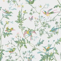 Cole & Son Tapeta Hummingbirds 4015, kolekcia ICONS