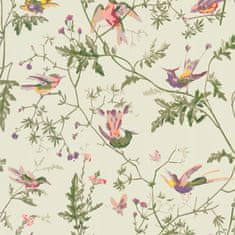 Cole & Son Tapeta Hummingbirds 14070, kolekcia ARCHIVE ANTHOLOGY