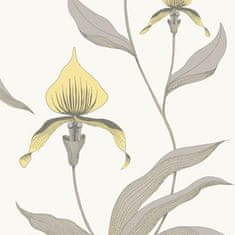 Cole & Son Tapeta ORCHID 10057, kolekcia CONTEMPORARY restyled