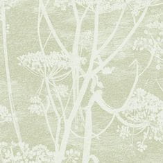 Cole & Son Tapeta COW PARSLEY 8029, kolekcia ICONS