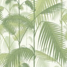 Cole & Son Tapeta PALM JUNGLE 1001, kolekcia CONTEMPORARY restyled