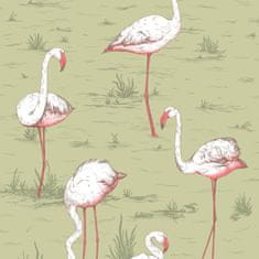 Cole & Son Tapeta Flamingos 11038, kolekcia ICONS