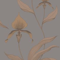 Cole & Son Tapeta ORCHID 10056, kolekcia CONTEMPORARY restyled