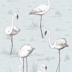 Cole & Son Tapeta Flamingos 8047, kolekcia CONTEMPORARY restyled