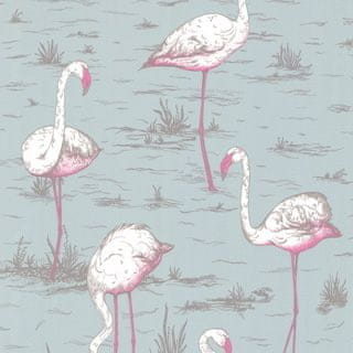 Cole & Son Tapeta Flamingos 6044, kolekcia NEW CONTEMPORARY